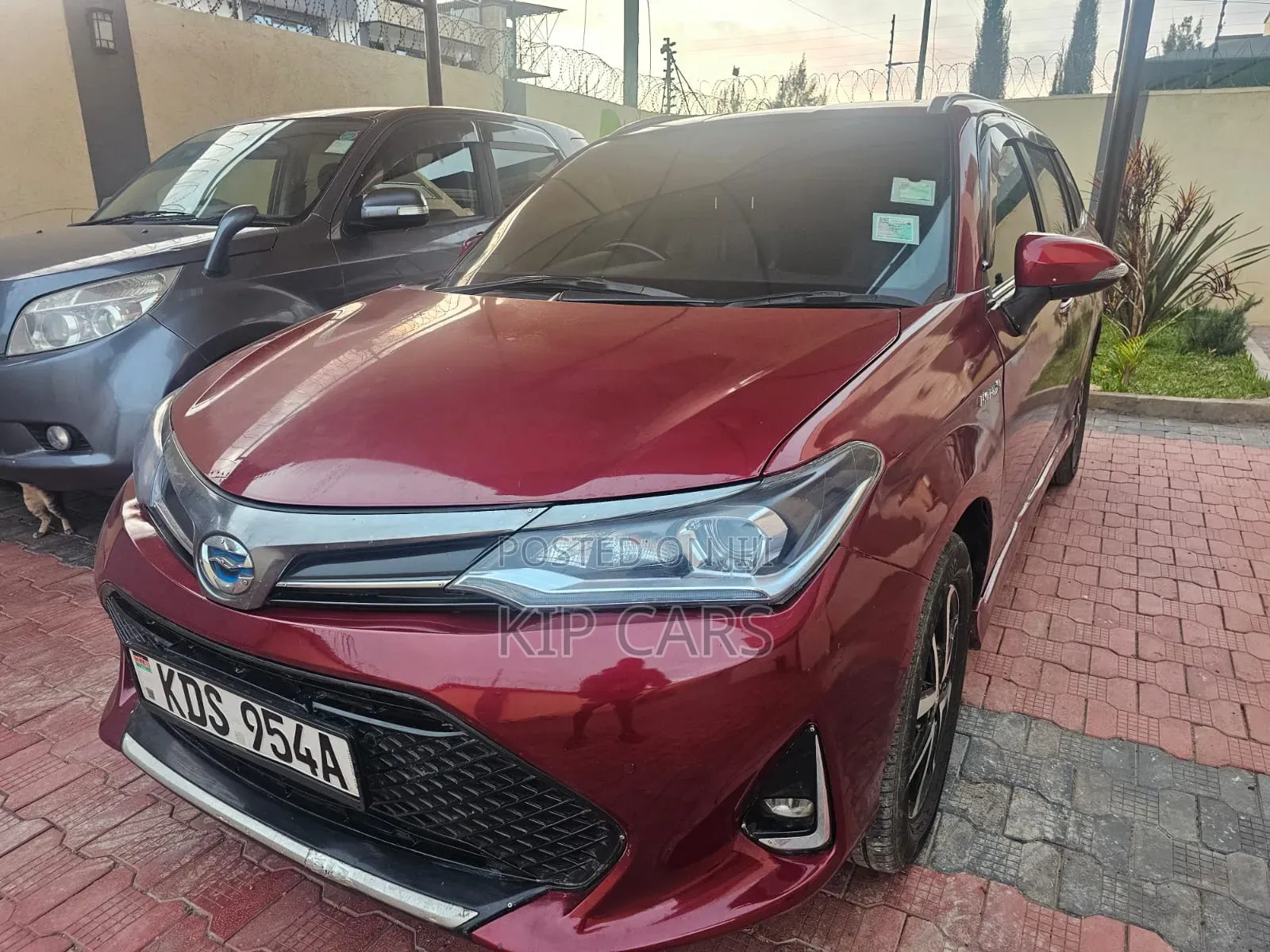 Toyota Corolla Fielder 2019 Burgundy