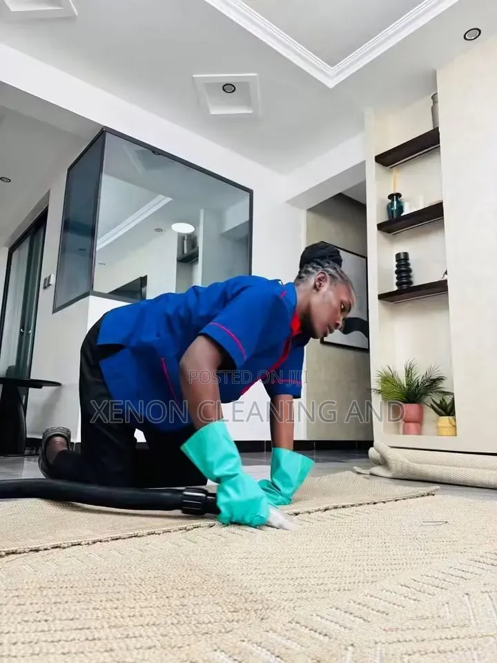General Cleaning and Fumigation