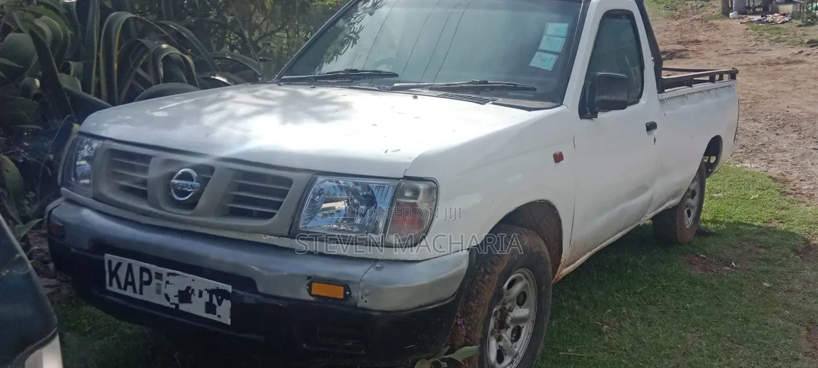 Nissan Hardbody 2005 White