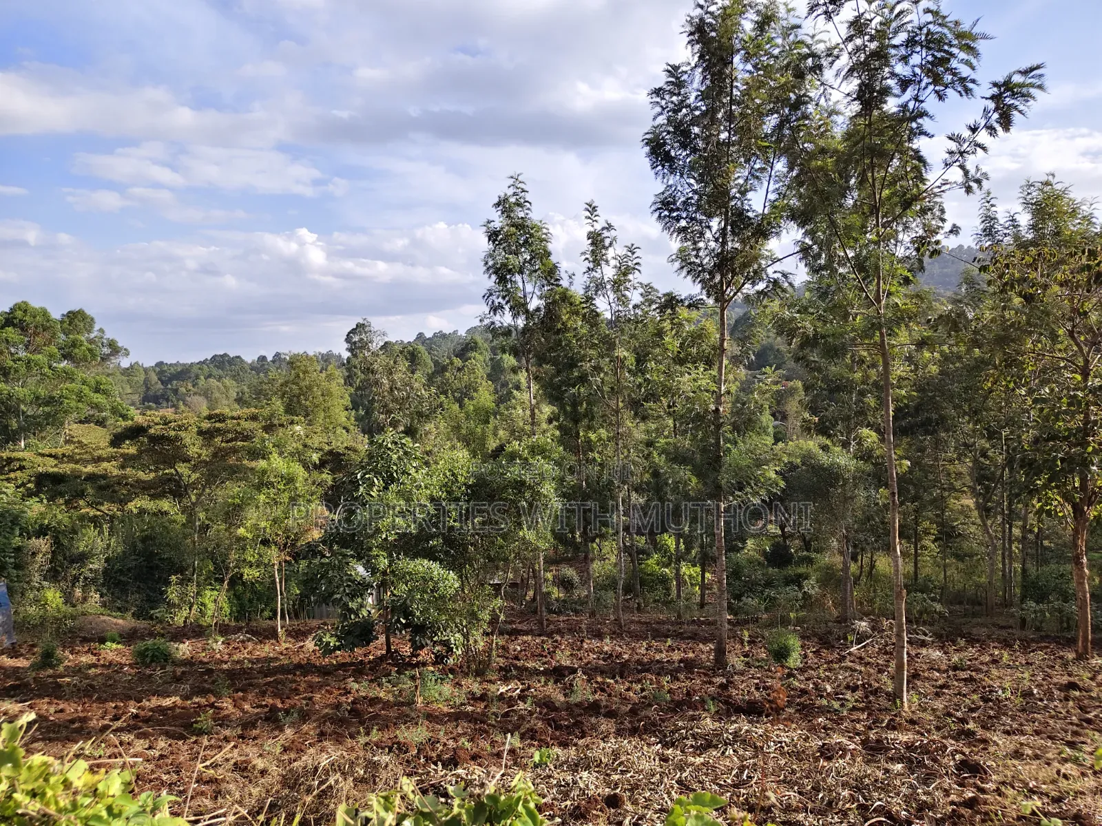 1 Acre of Land for Sale in Upper Matasia, Ngong