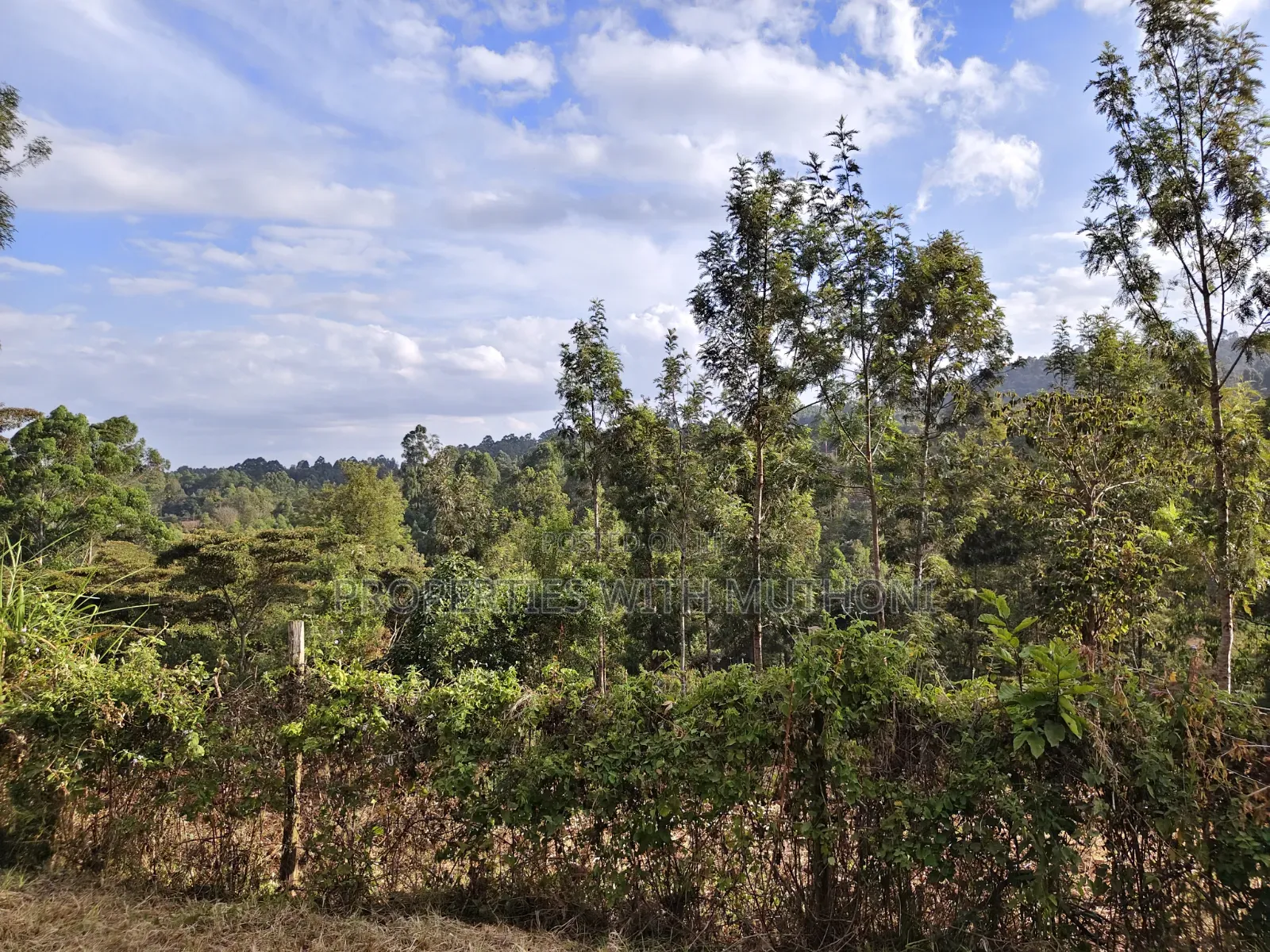 1 Acre of Land for Sale in Upper Matasia, Ngong