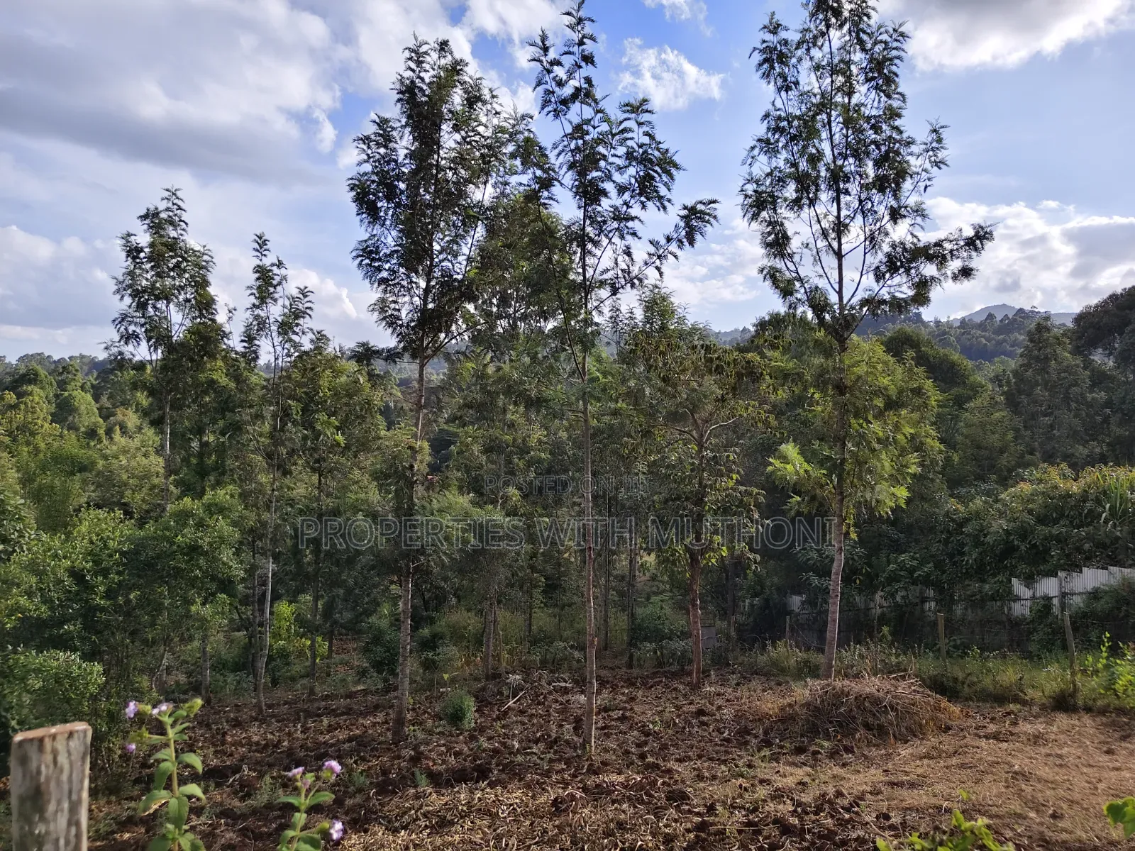 1 Acre of Land for Sale in Upper Matasia, Ngong