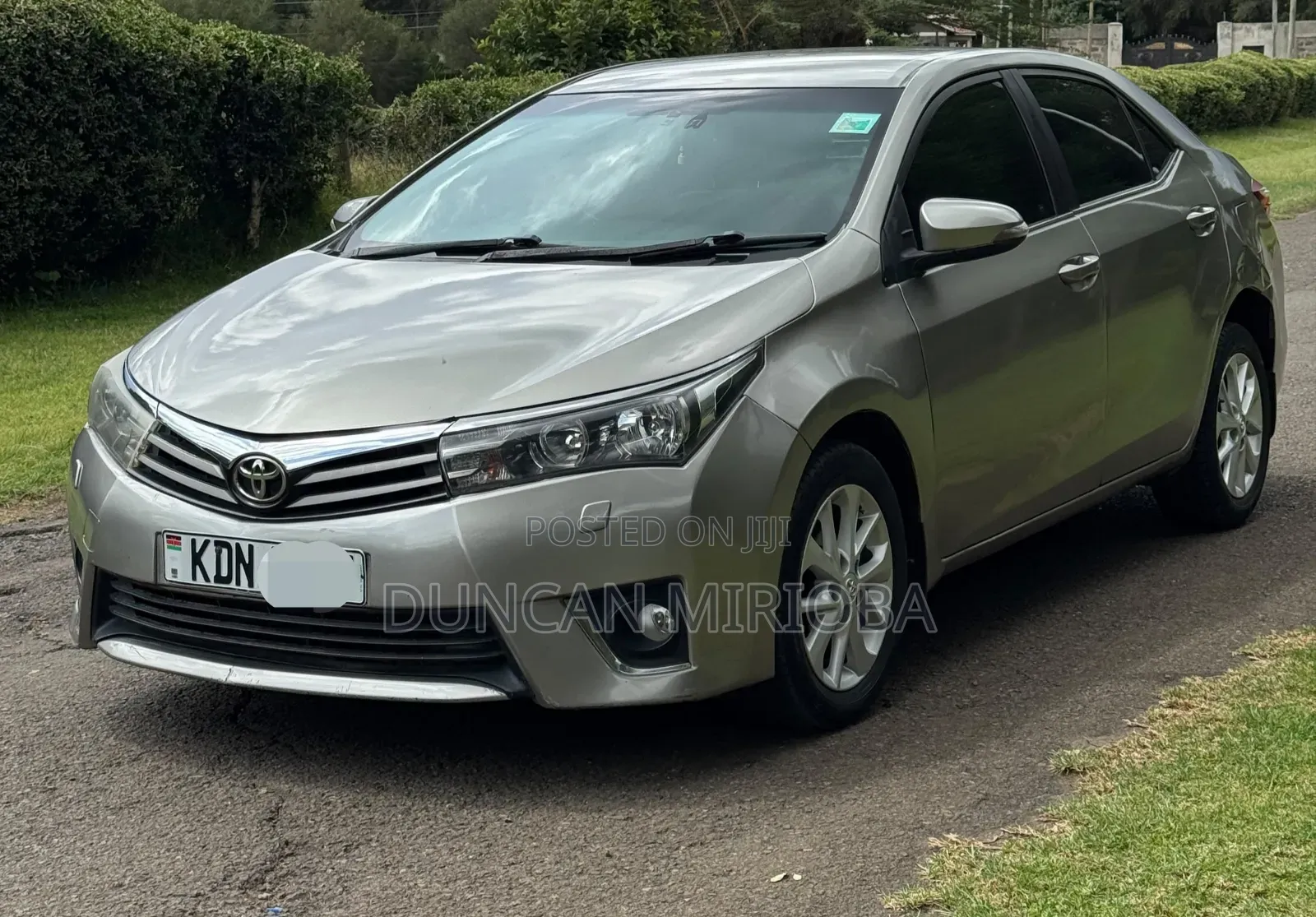 Toyota Corolla LE Eco Plus 4dr Sedan (1.8L 4cyl CVT) 2016 Silver
