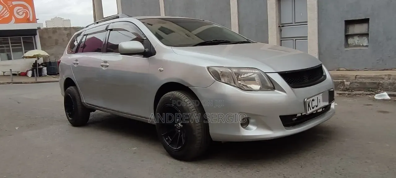 Toyota Corolla Fielder 2010 Silver
