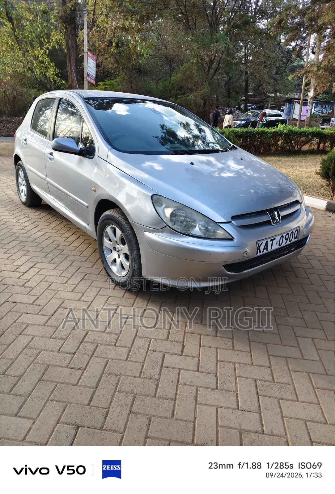 Peugeot 307 1.6 Premium 2005 Gray