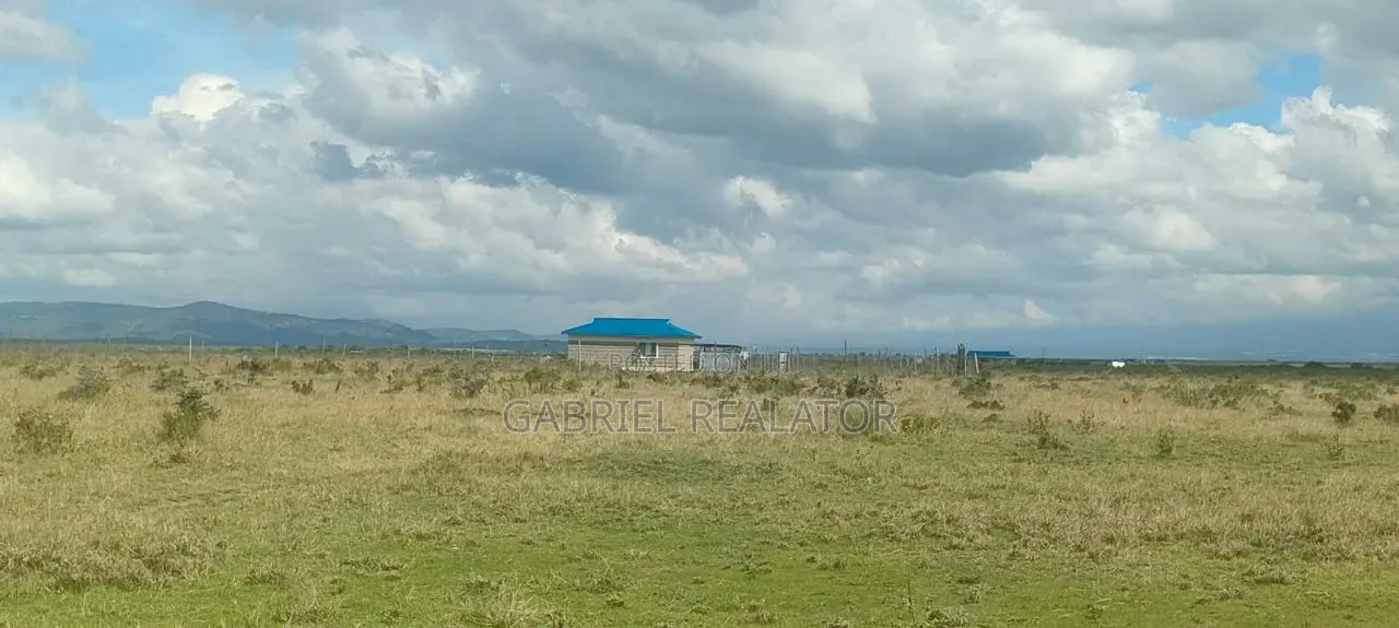 Nanyuki Akiba Gardens
