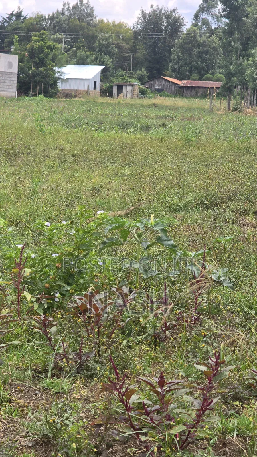 50 X 100 Plots at Mastoo, Mang'u Nakuru