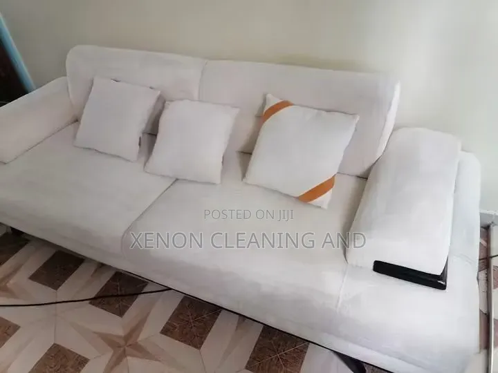 Cleaning and Fumigation Servces