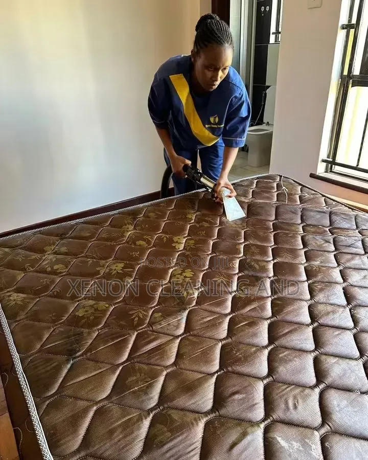 Cleaning and Fumigation Servces