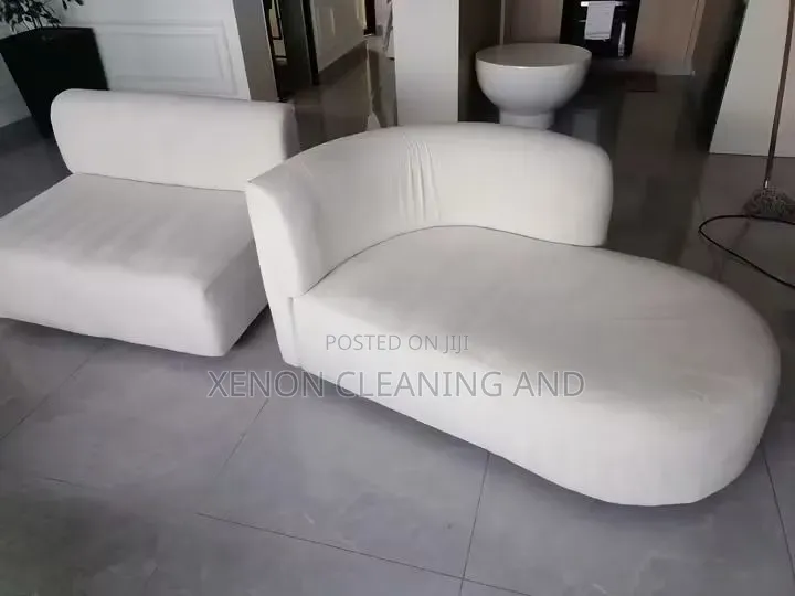 Cleaning and Fumigation Service
