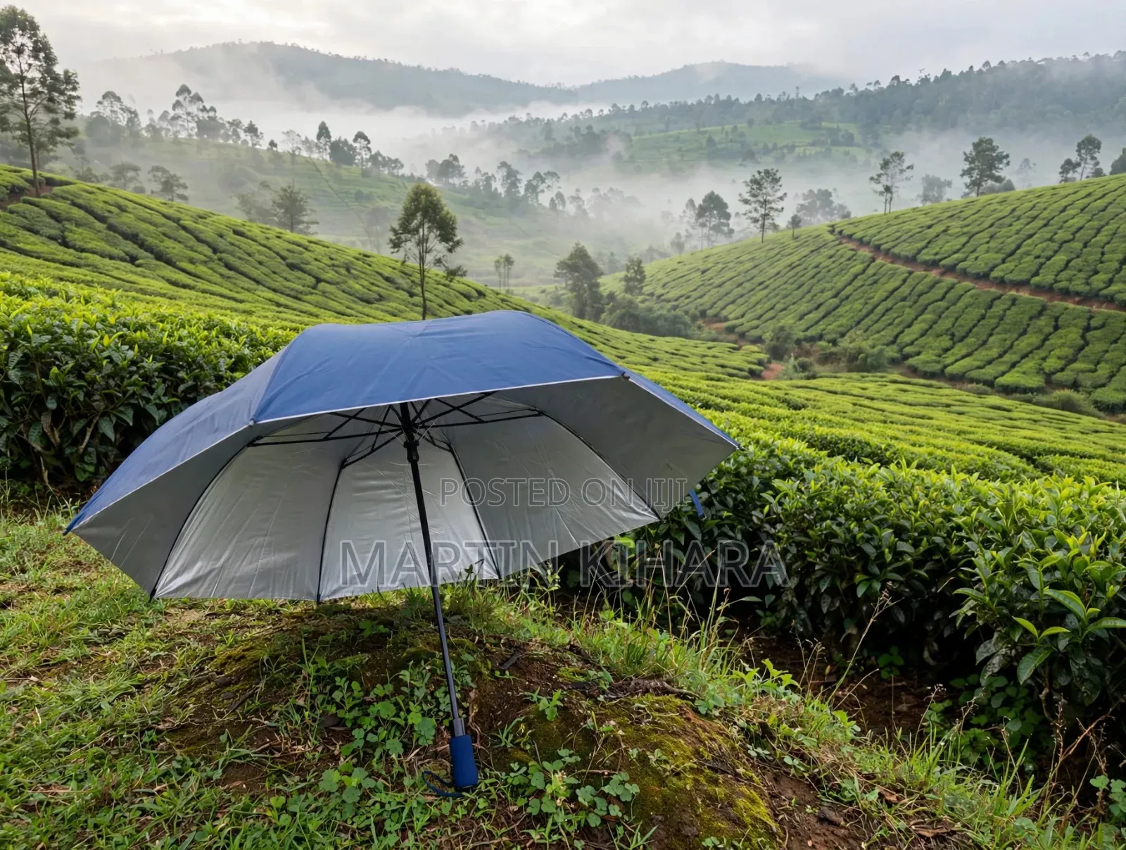2 Fold Pocket Umbrellas