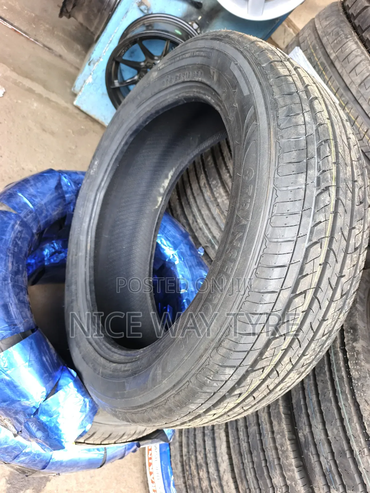 225/55r19 Goddard