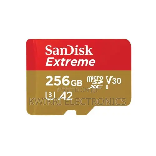 SANDISK Extreme GO microSD UHS-I Card - 256GB