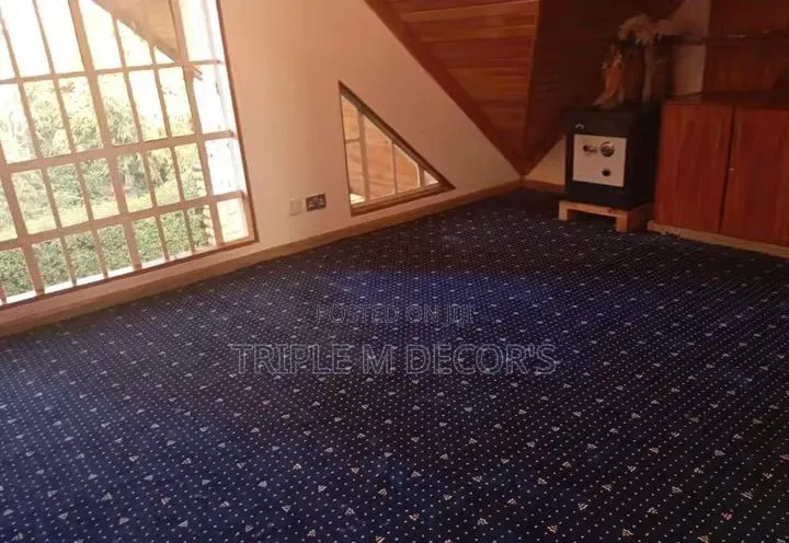 Long Lasting Office 12mm Executive Wall Carpet