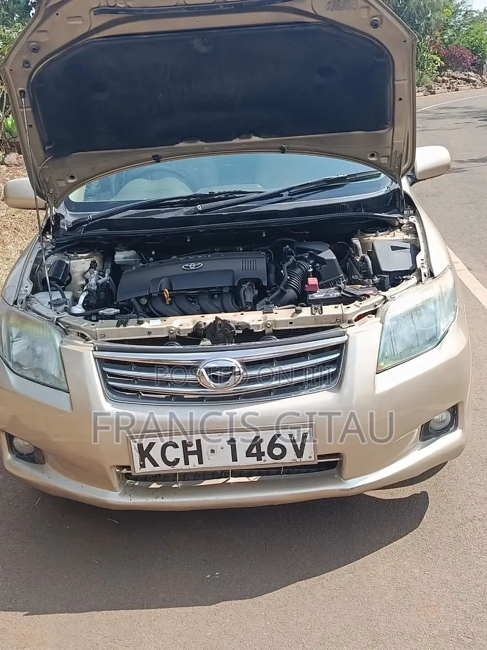 Toyota Axio 2009 Gold