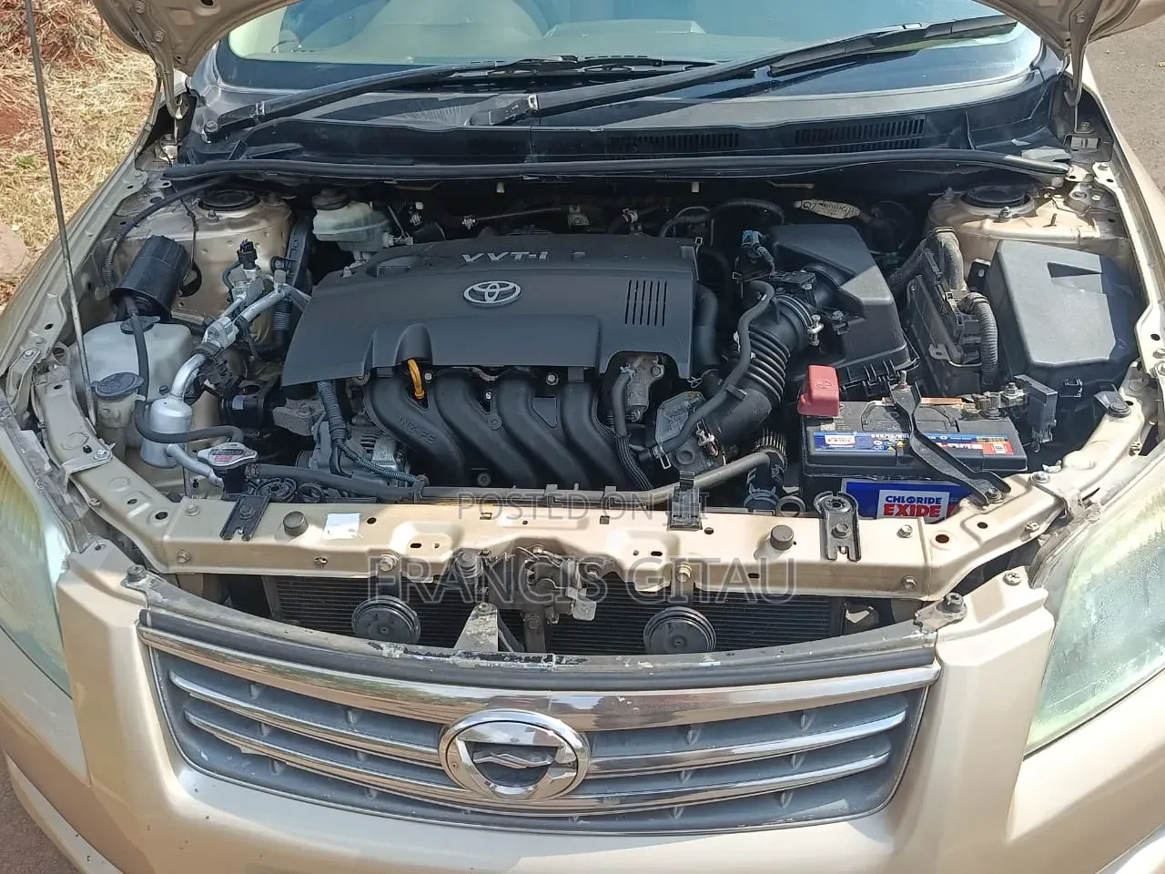 Toyota Axio 2009 Gold
