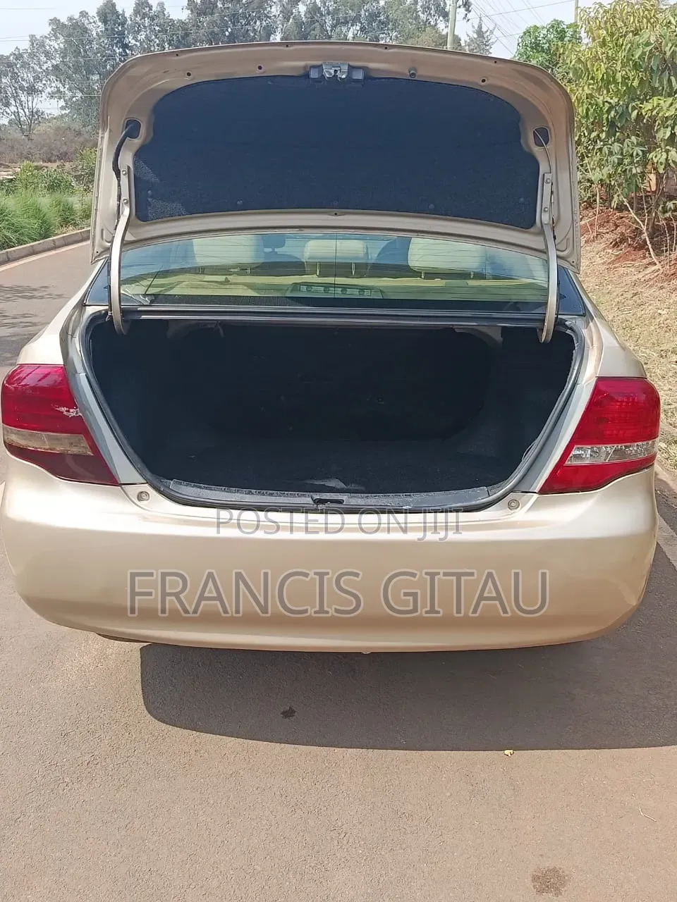 Toyota Axio 2009 Gold