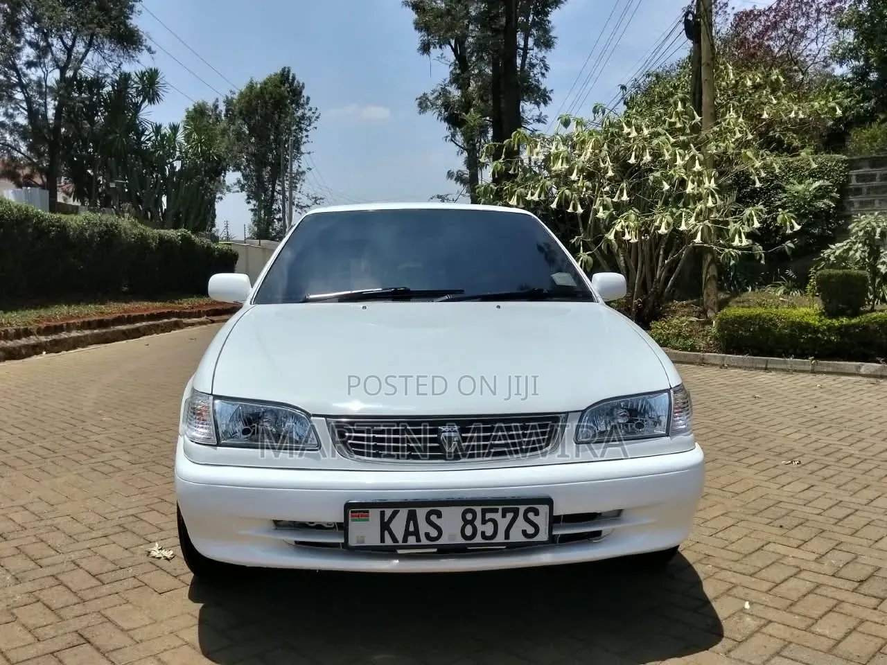 Toyota Corolla 2000 White