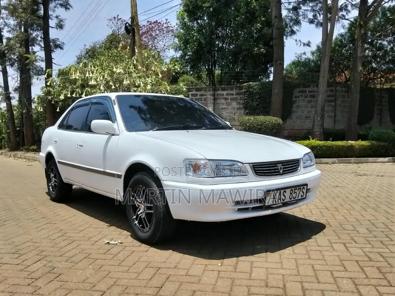 Toyota Corolla 2000 White
