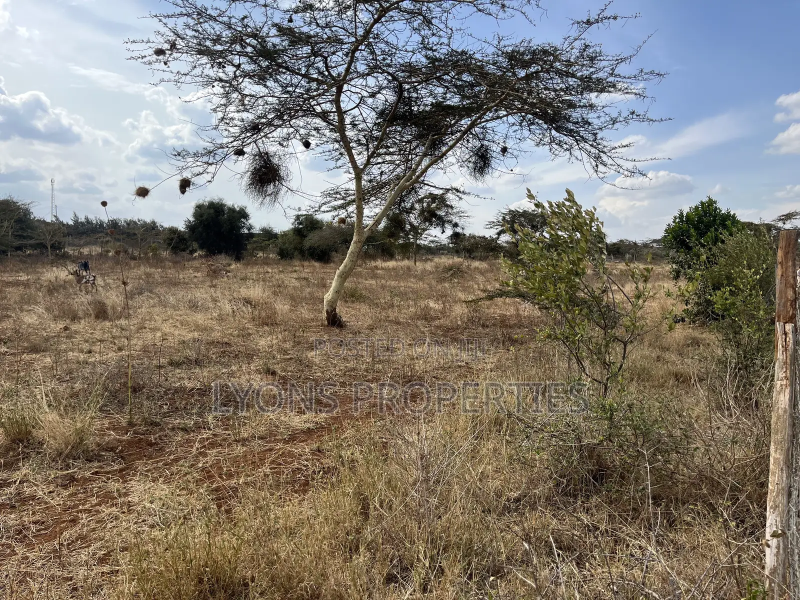 1/8 Acres Land for Sale in Kimuka