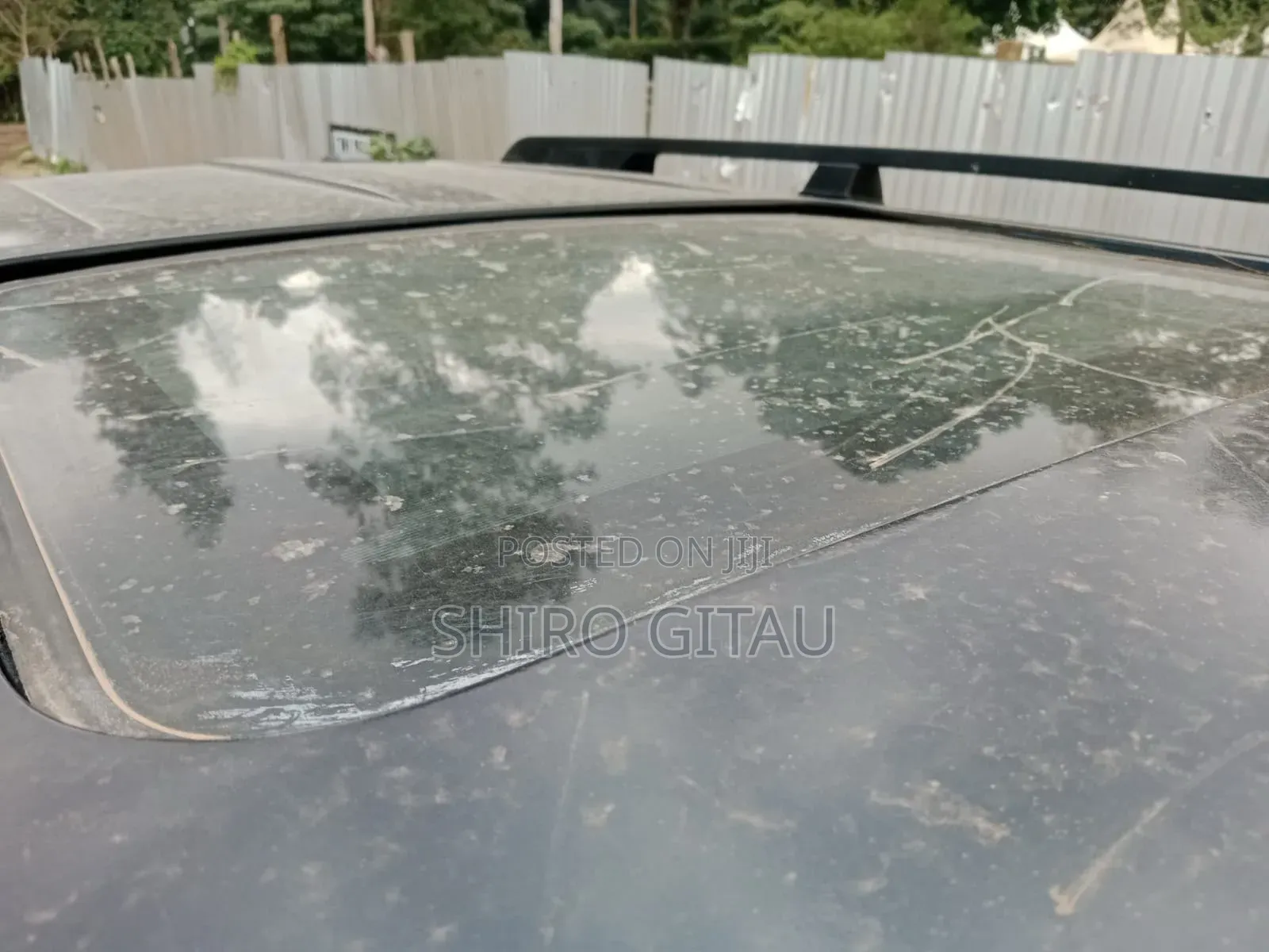 Nissan X-Trail 2006 Gray