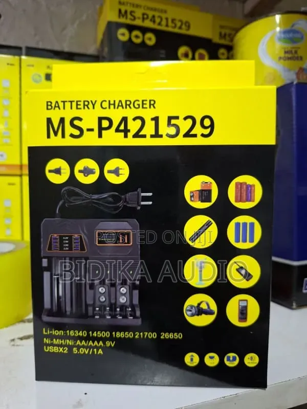 Multi-Slot Universal Battery Charger | Smart Li-Ion Ni-Mh Dock