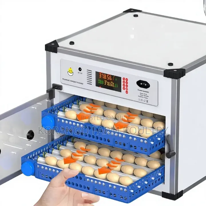200 Eggs Incubator