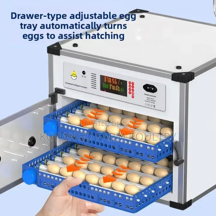 200 Eggs Incubator