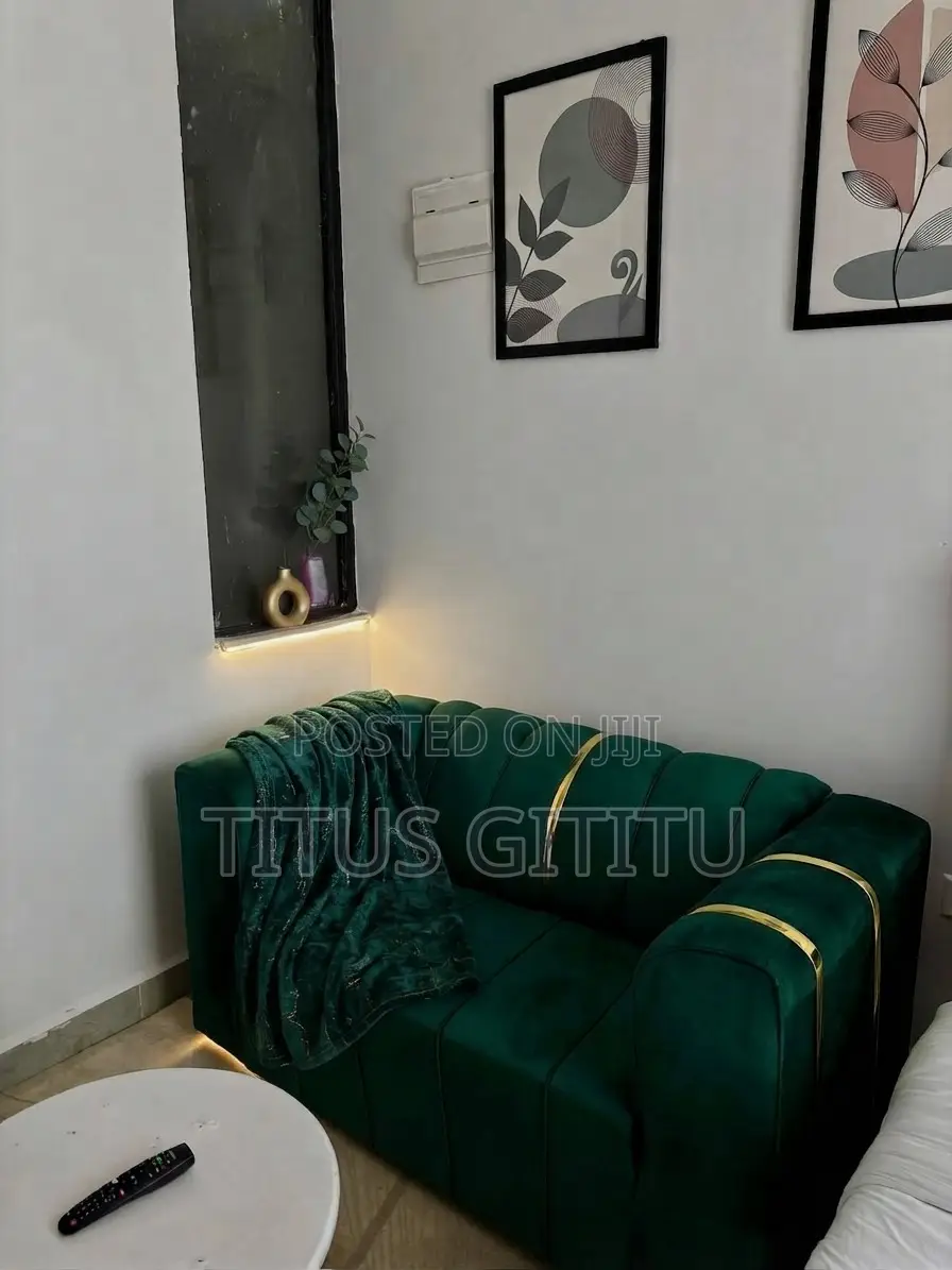 Studio Roysambu | Near TRM, USIU Mirema | Safari Park Kasarani |