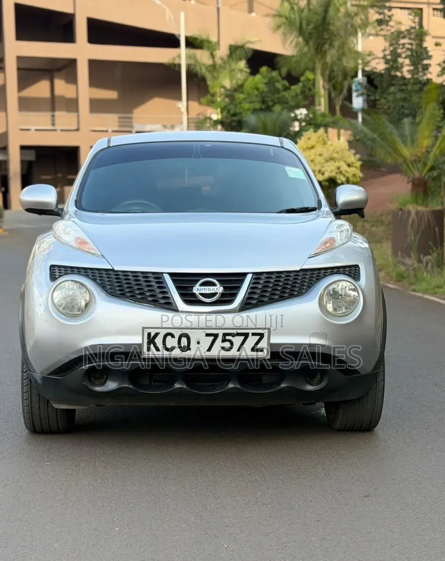 Nissan Juke 2011 Gray