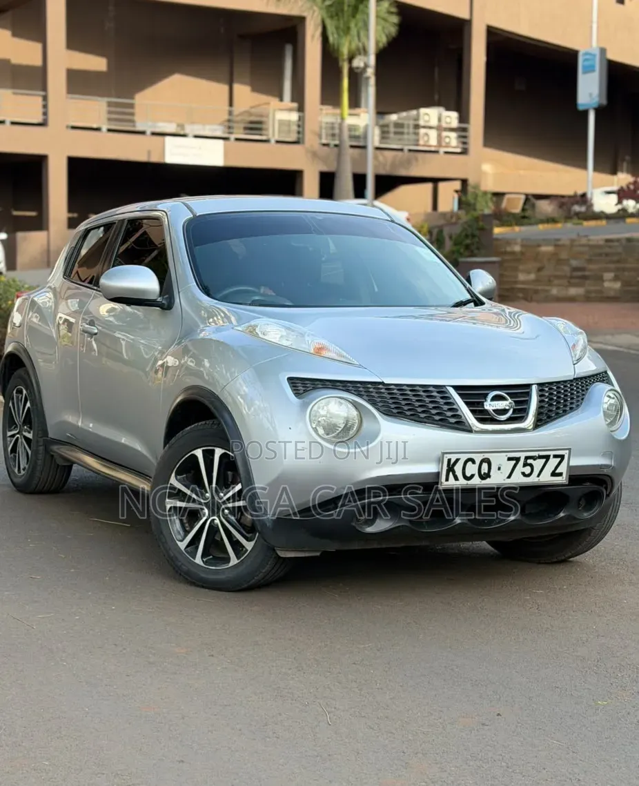 Nissan Juke 2011 Gray