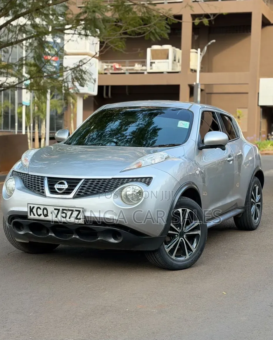 Nissan Juke 2011 Gray