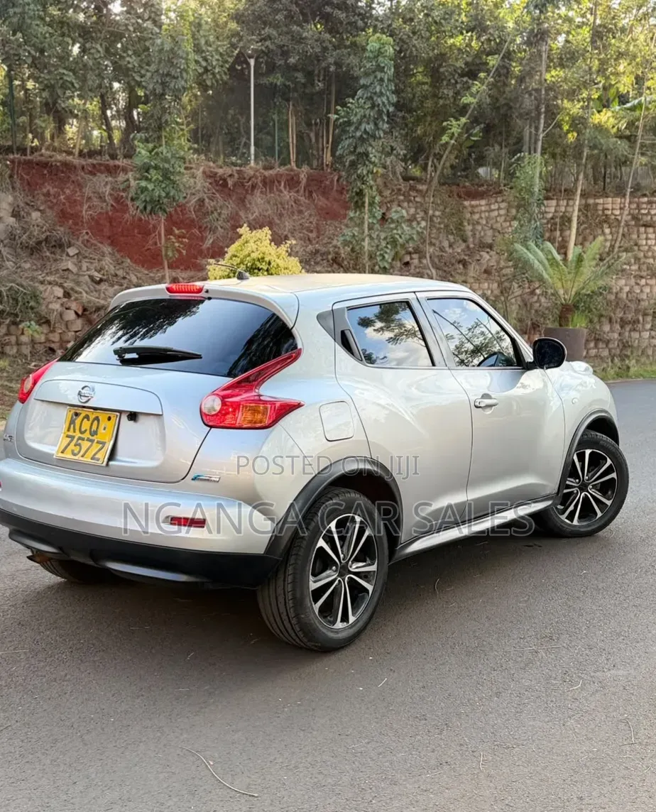 Nissan Juke 2011 Gray