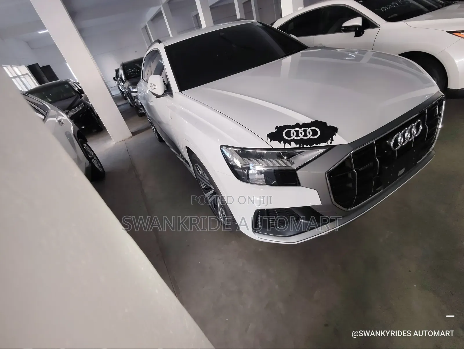 Audi Q8 3.0T Premium AWD quattro 2019 White