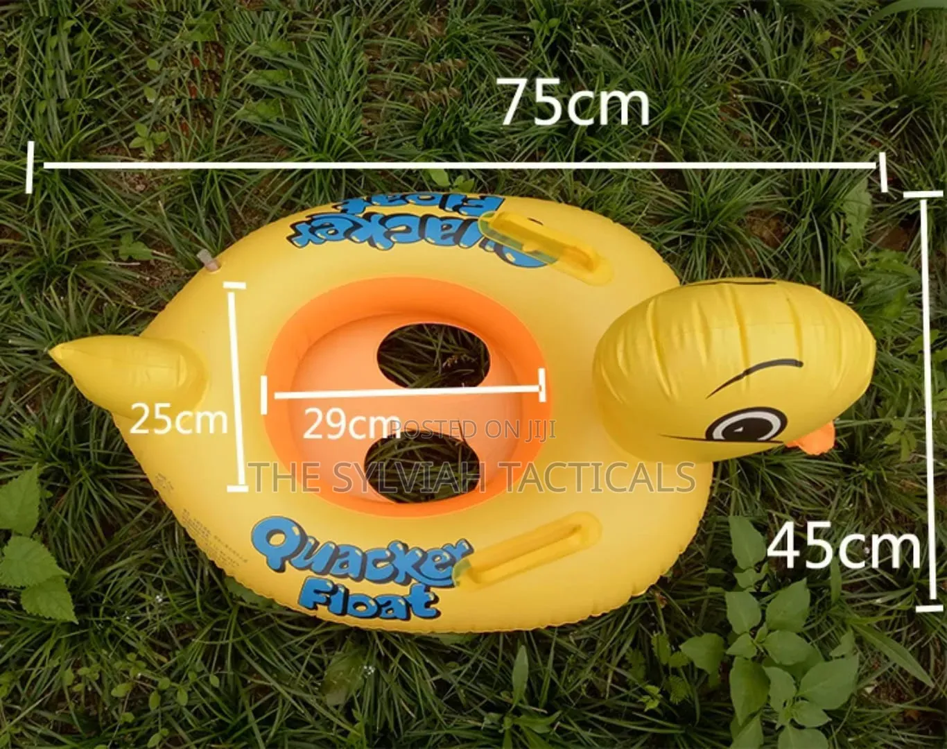 *Swimming Duck Floaters*
