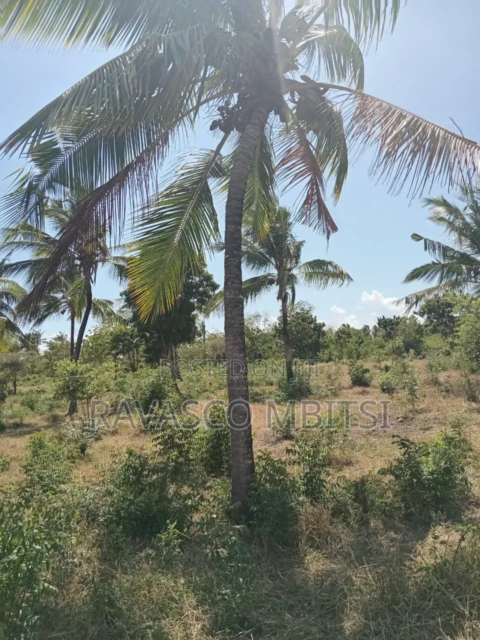 2 Acres Forsale in Kilifi Chumani Roka