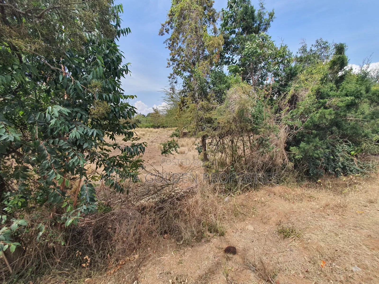1 Acre Touching Tarmac [ Barguret ]