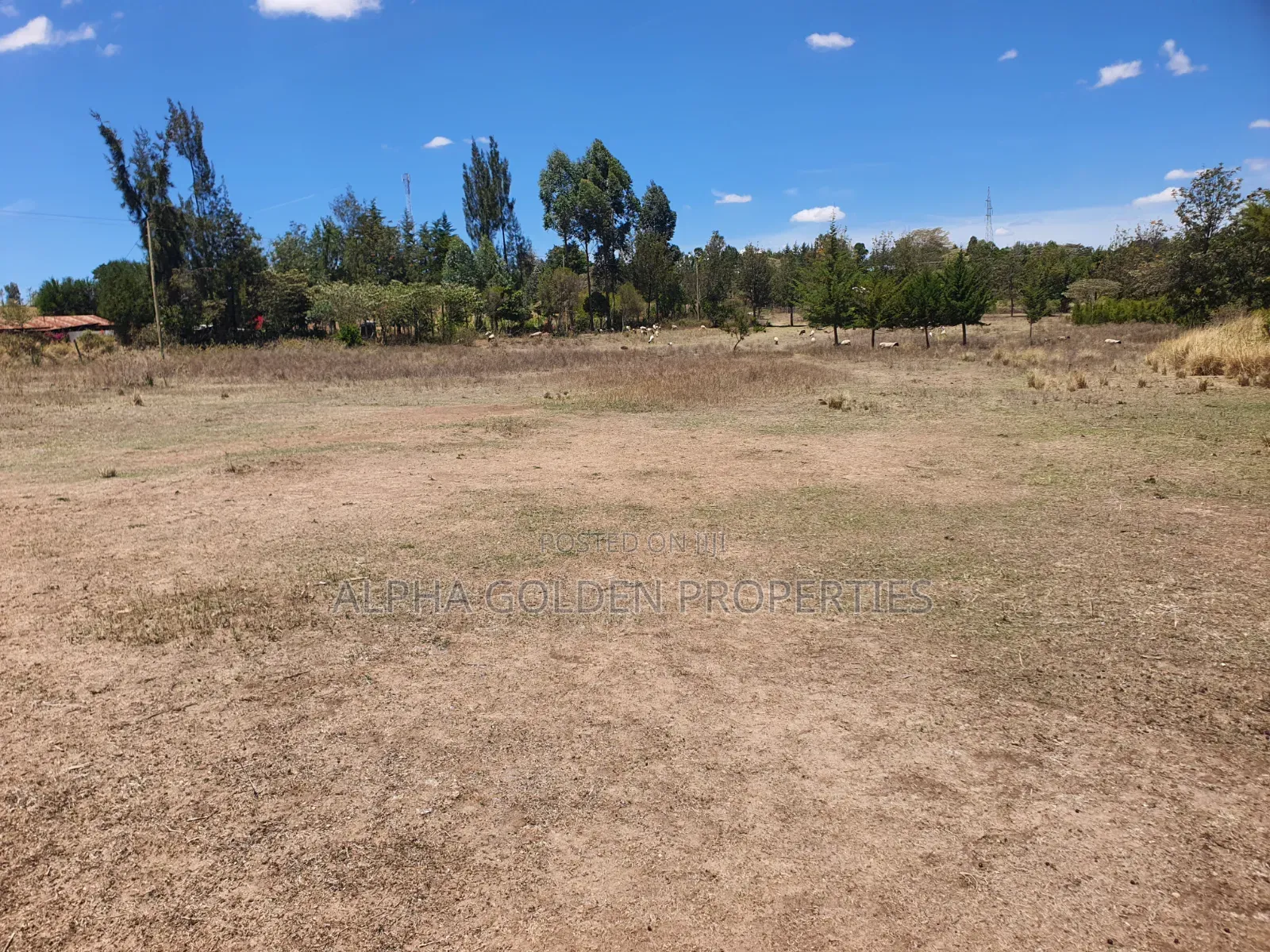 2 Acres Near Nanyuki Airstrip