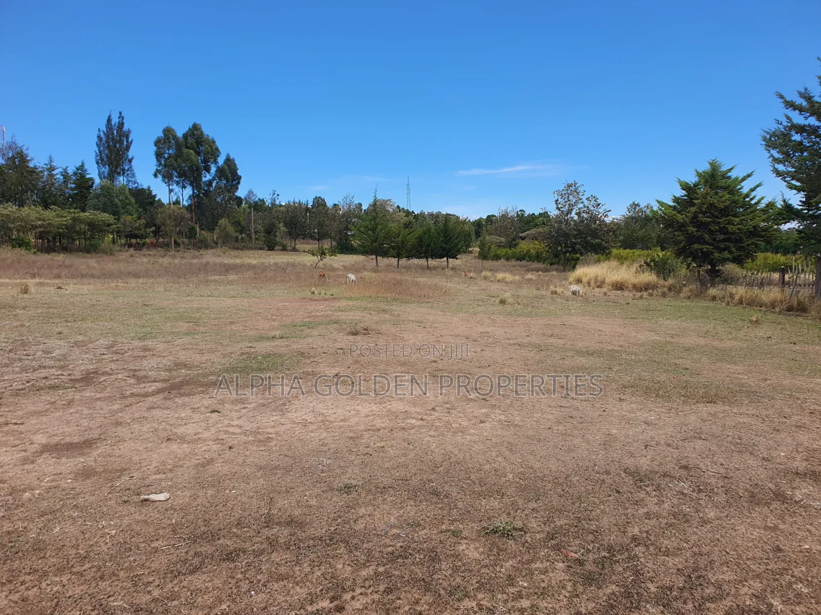 2 Acres Near Nanyuki Airstrip