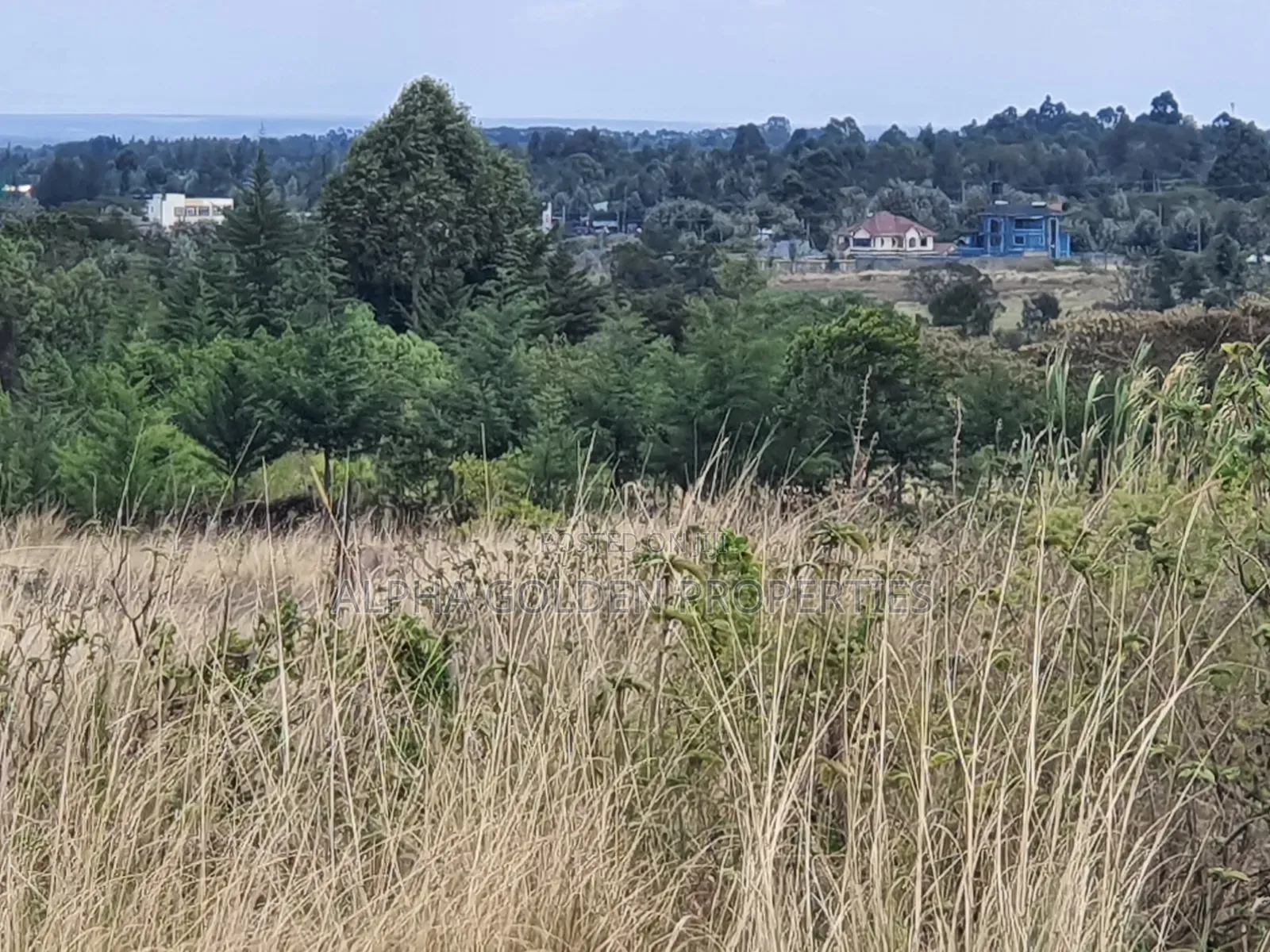 2 Acres Near Nanyuki Airstrip