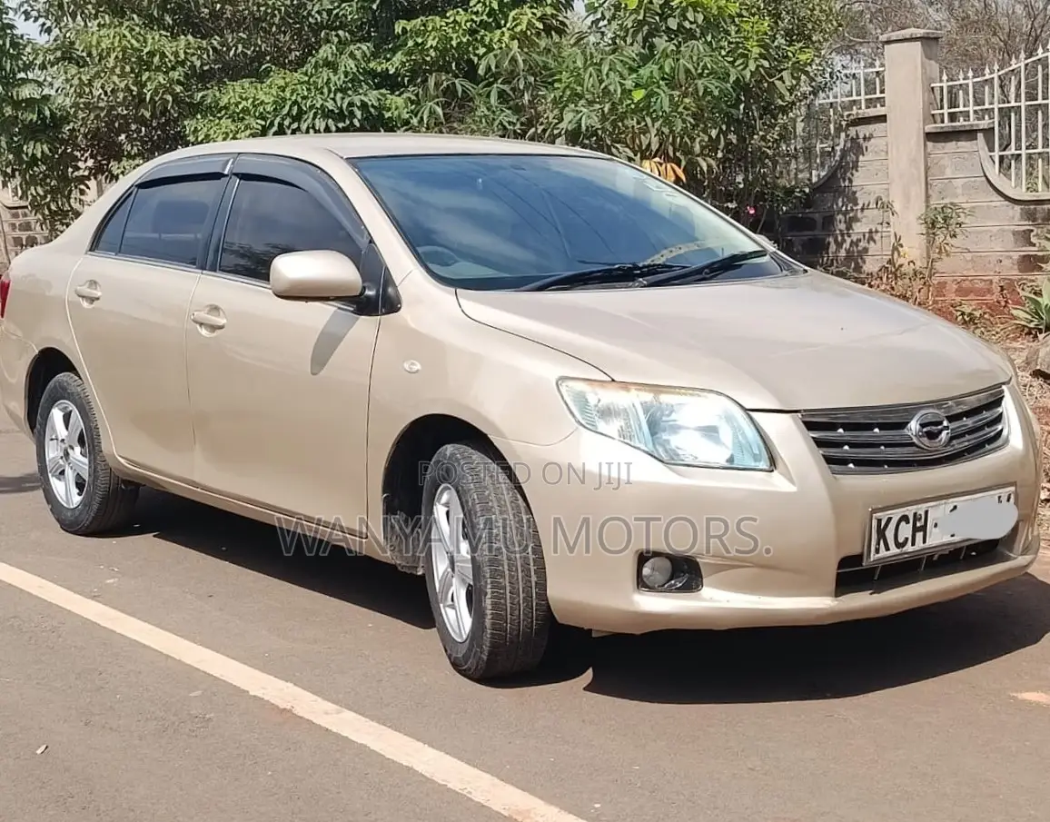 Toyota Axio 2008 Gray