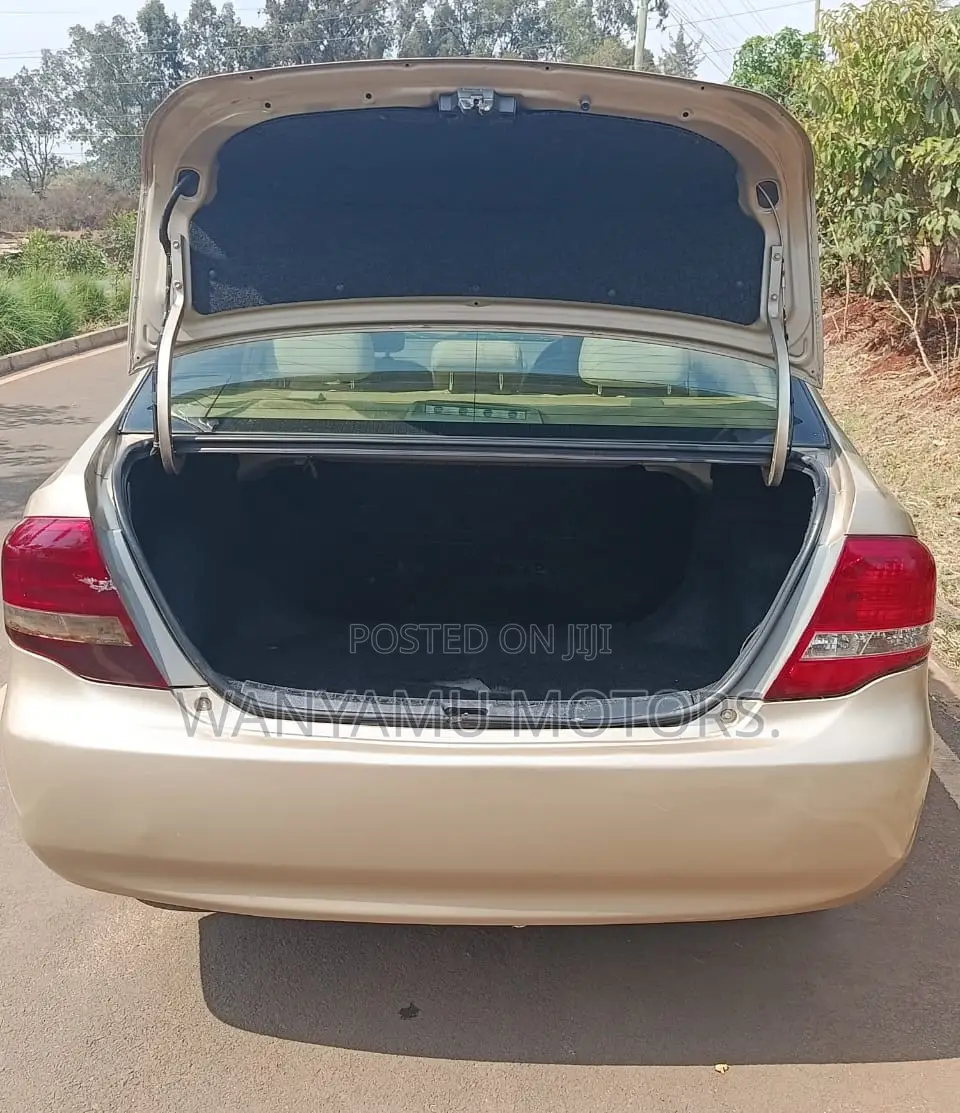 Toyota Axio 2008 Gray