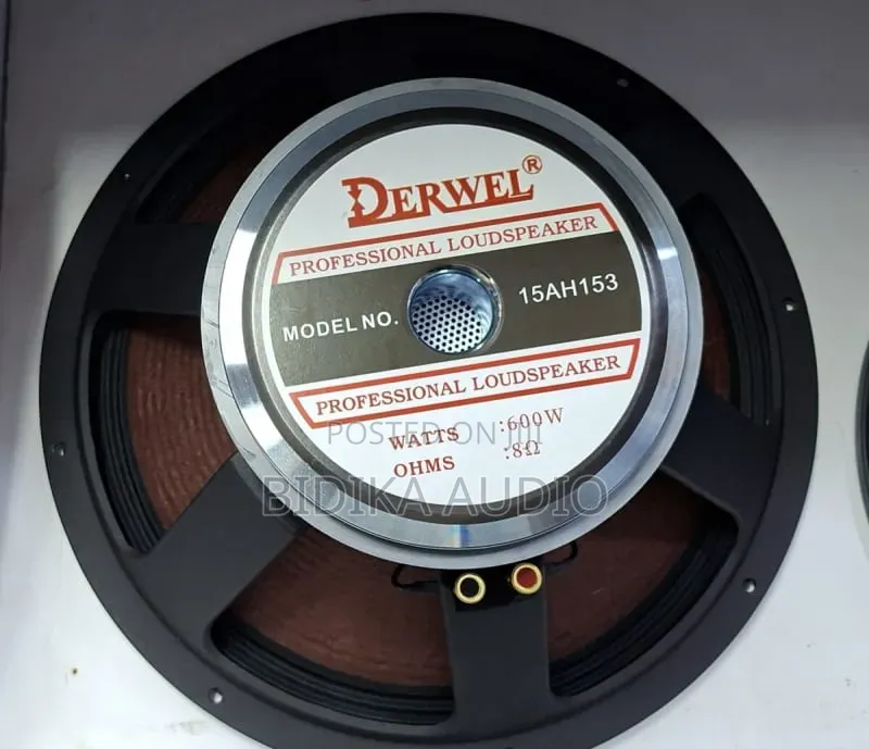 Derwel 15ah153 Professional Mid-Bass Driver 600w 8ohm