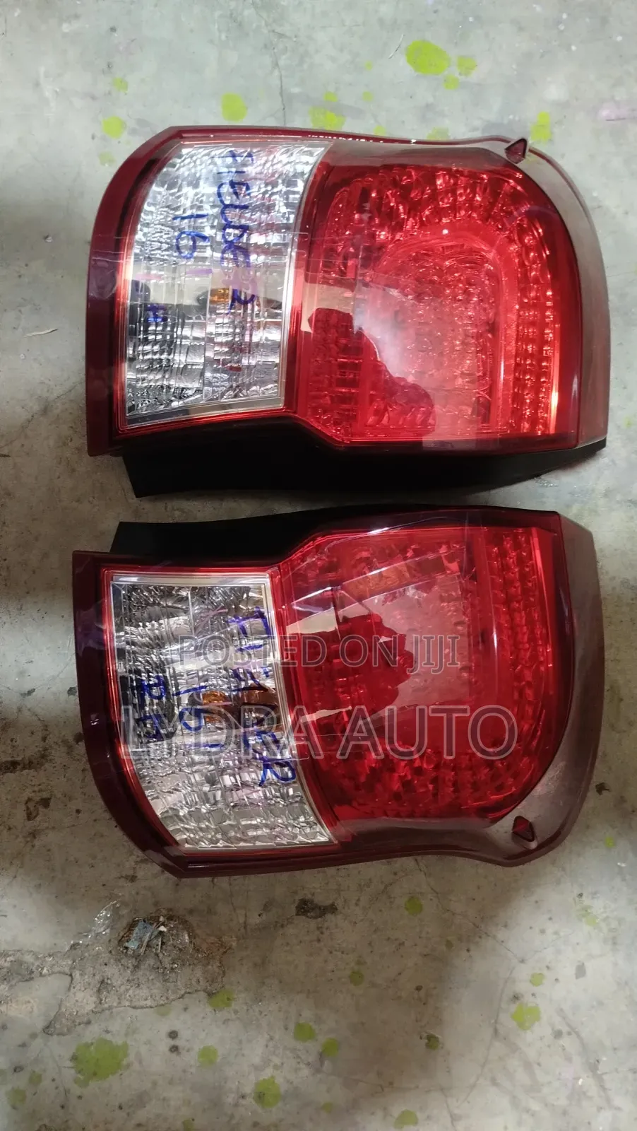 Fielder 2014 Backlight 161