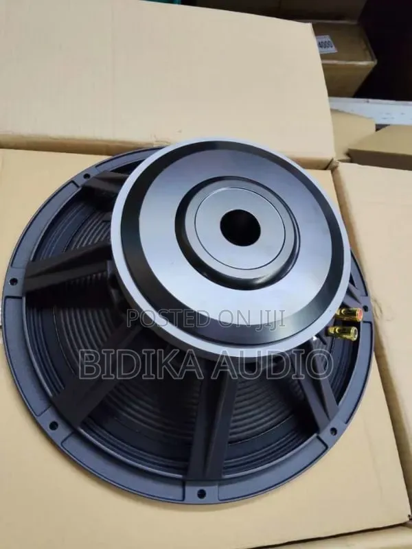 15" 75mm Coil PA Naked Speaker - 600w Professional