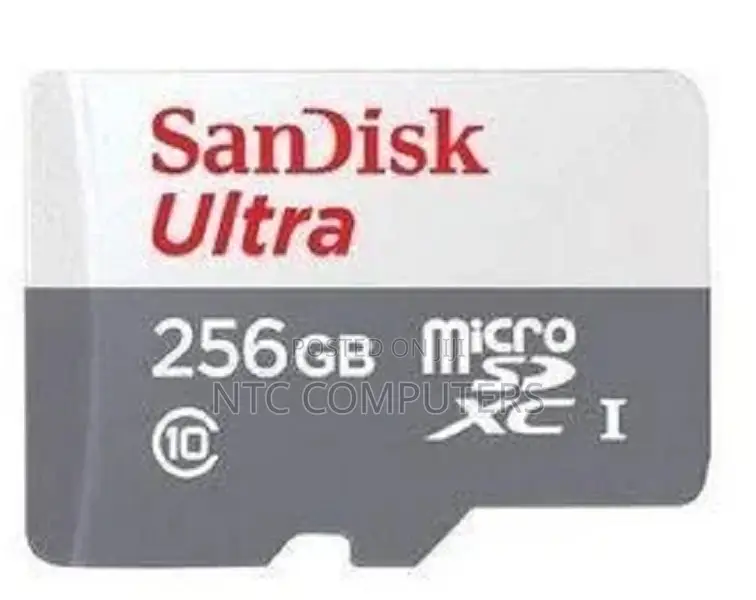 SanDisk Ultra 256GB microSDXC Up to 100mb/S Read A1 Performance Class