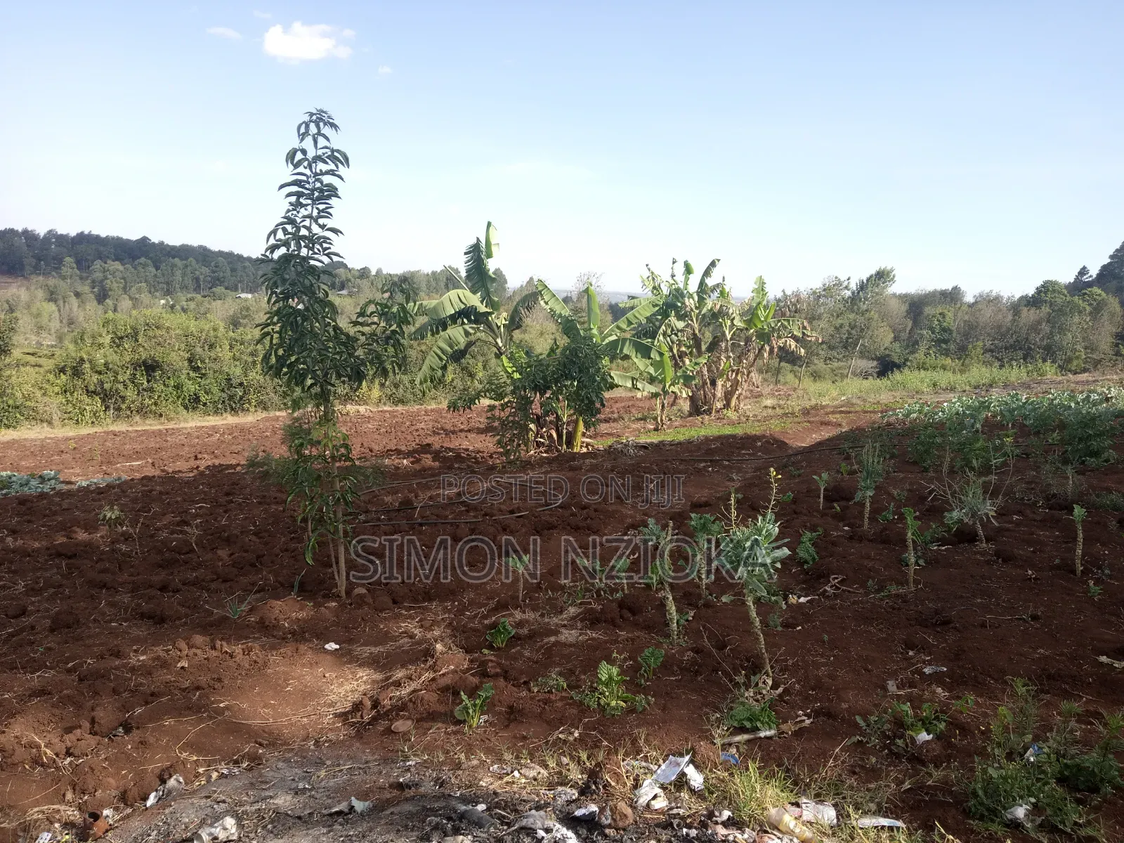 Prime Quarter an Acre for Sale in Ngong Matasia