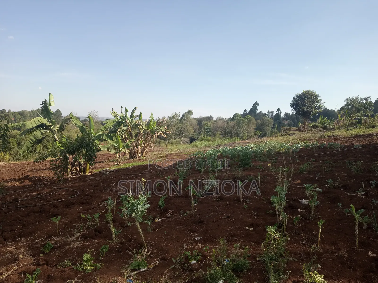 Prime Quarter an Acre for Sale in Ngong Matasia