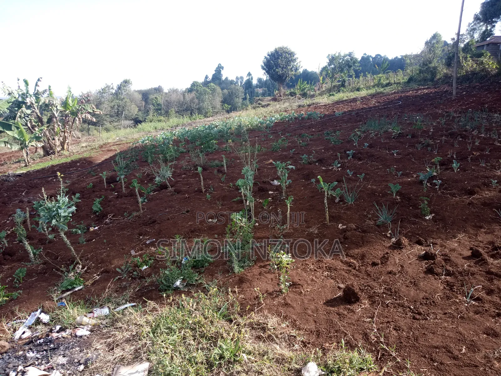 Prime Quarter an Acre for Sale in Ngong Matasia