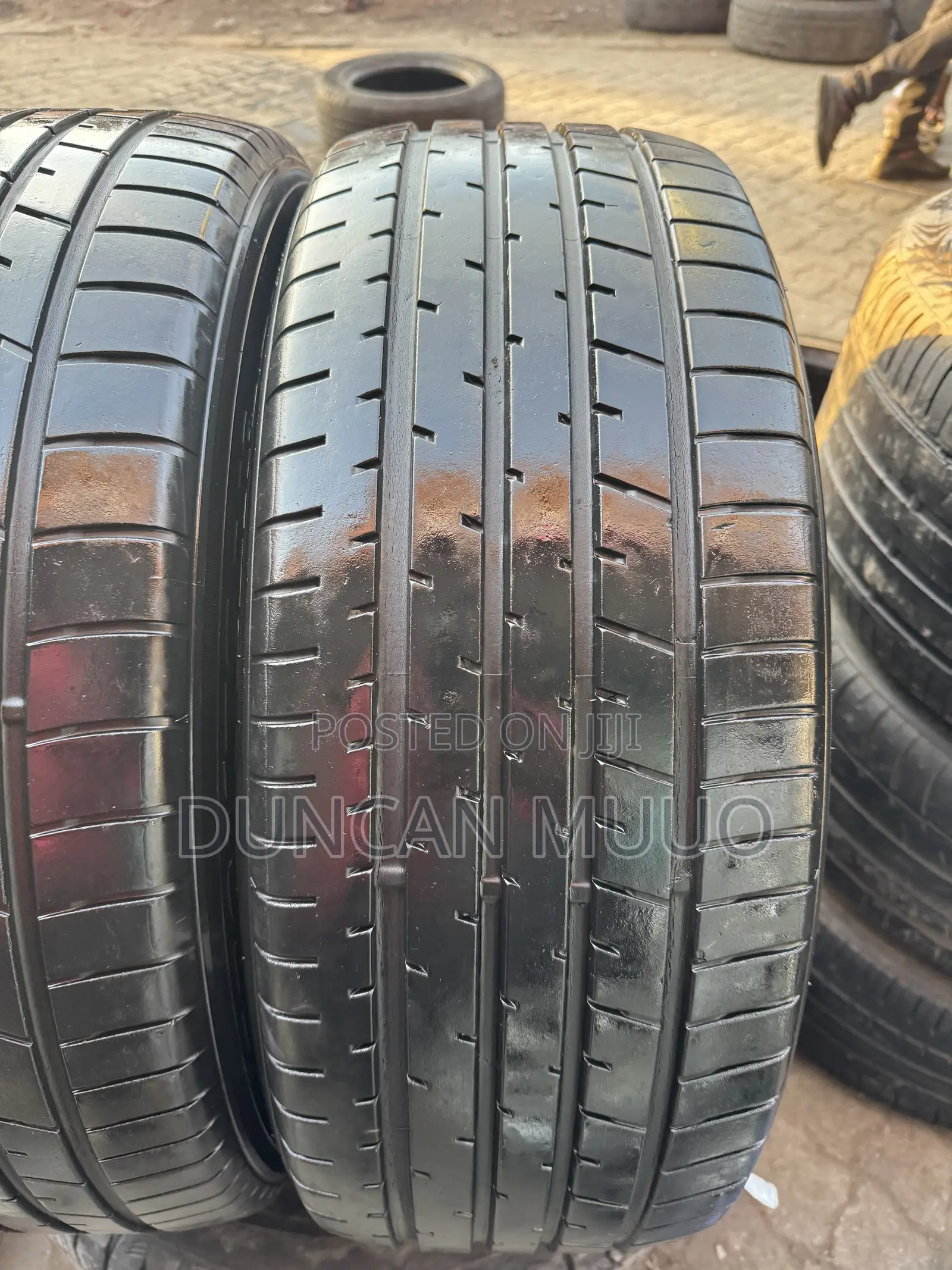 225/55 R19 - Toyo